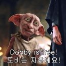 자유전자 이미지