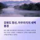 바쁜 일상 속 쉼표, 조용한 여행지 추천 BEST 5
