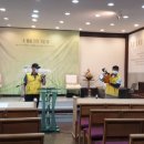 삼성동-19 이미지