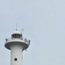 "국화도+입파도" 톡방 (작가 : 산사춘19) 이미지