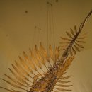 연오랑세오녀테마공원 귀비고 이미지