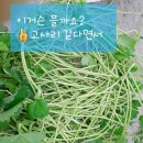쌍림농약 네이버블로그