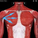 바른결 PT 이미지
