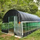 염소우리 이미지