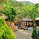 마곡사힐링캠프 이미지