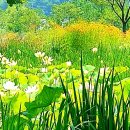 커피바라기 - 서구 월드컵4강로28번길 50-5 | 커피바라기