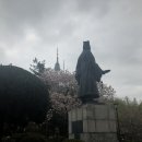 안산시민햇빛20호발전소 | [안녕 도롱뇽] 2019 양서류 산란철 집중 모니터링: 남산 벚꽃, 그리고 유생..