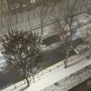 세브레스약국 이미지