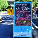 불갑사관광지 주차장 이미지