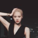 로지포지 이미지