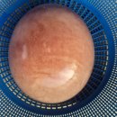 미완성농장 이미지