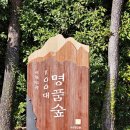 태청산 편백나무숲 트레킹길 | 제주 여행지 편백향 가득한 힐링 성지, 제주 서귀포 치유의숲 다녀왔습니다