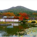 진도 운림산방 이미지