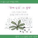 틈싹 네이버블로그