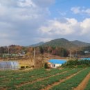 세찬농장 이미지