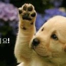 에이짐휘트니스 이미지