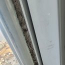 우남샘물타운 | 익산 우남샘물타운 입주청소 후기 구축아파트 새집처럼 변화