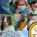 링크동물의료센터 이미지