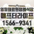 강원특별자치도영월의료원 이미지