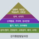 세감각 이미지