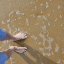 트윈골프연습장 | 선불카드 회원권 이용 빈펄 리조트 골프 남호이안 라운딩 후기