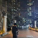 노비스 패딩 후기 노비스 스카우트 여성 패딩 추천 사이즈팁
