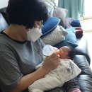 꿀팁) 좋은 산후도우미업체를 고르는 법