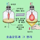 복식호흡 이미지