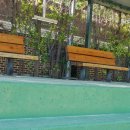 사파동272 이미지