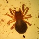 산호동509 이미지