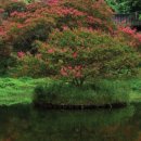 동해도어 이미지