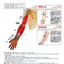 신성일 이주일 백남봉 스티브잡스의 호흡곤란에 지압도 무방 이미지