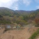 흥산농장 이미지