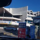 태권도서신체육관 이미지