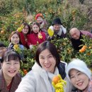 정진수농장 이미지