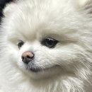 댕플래닛