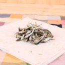 쪼꼬미앙 이미지