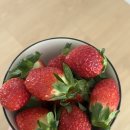 호 산부인과 의원 이미지