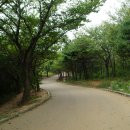 850 전망대 이미지