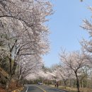 보리수미용실 이미지