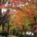 아름다운농장 이미지