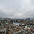 마이빌리어즈카페 네이버블로그