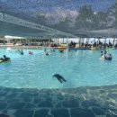 시현민박 이미지