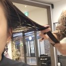 일산 킨텍스 미용실 추천 담따 모발케어 클리닉 후기