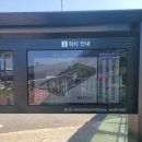 스타트 카 | 제주도 렌트카 후기 만족한 블루렌트카 이용기