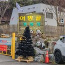 굴 제철에 떠나는 겨울 캠핑, 보령 어망골캠핑장 후기
