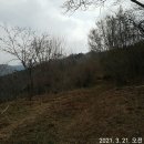 솔봉농장 이미지