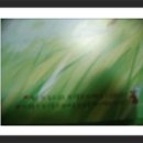 아이베스트 이미지