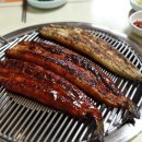 한담숯불민물장어
