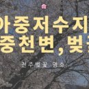 가리내로 네이버블로그
